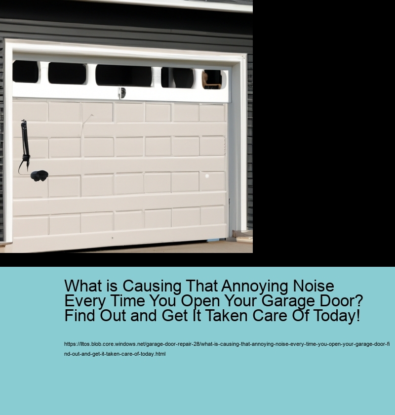 What is Causing That Annoying Noise Every Time You Open Your Garage Door? Find Out and Get It Taken Care Of Today!