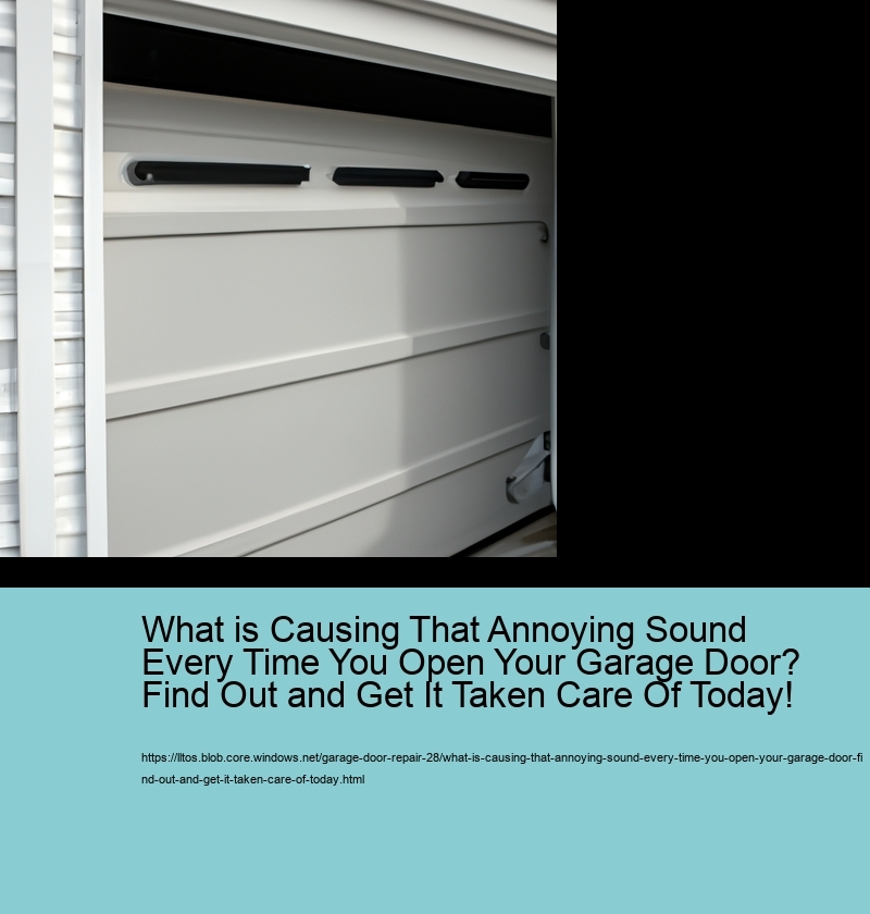 What is Causing That Annoying Sound Every Time You Open Your Garage Door? Find Out and Get It Taken Care Of Today!
